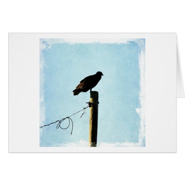 Vulture (Front Horizontal)