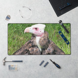 VULTURE