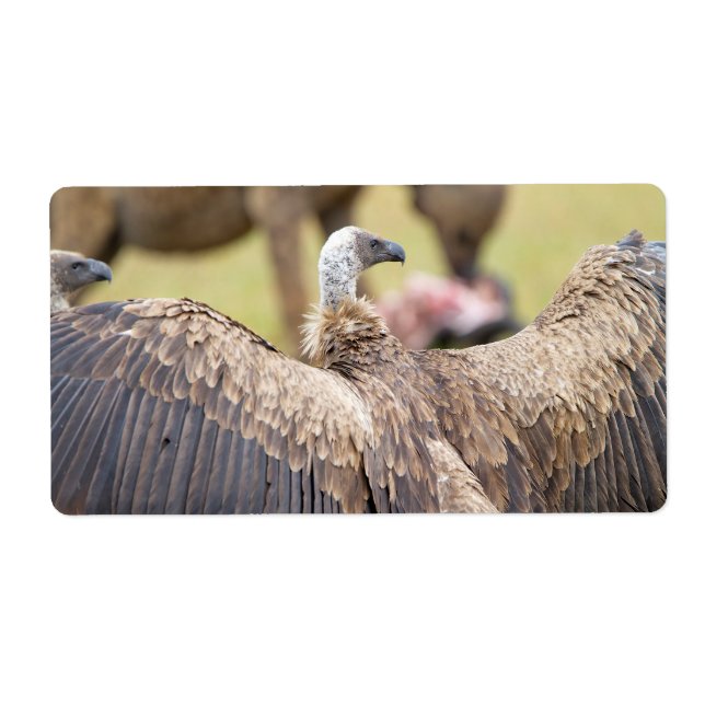 Vulture and Hyena (Front)