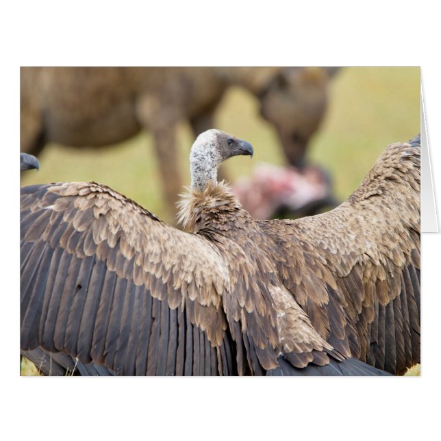 Vulture and Hyena (Front Horizontal)