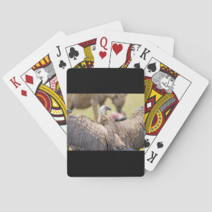 Vulture and Hyena Playing Cards