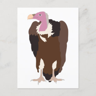 Vulture Bird Illustration Holiday Postcard
