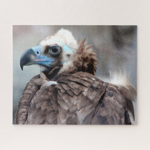 Vulture Bird of Prey. Jigsaw Puzzle