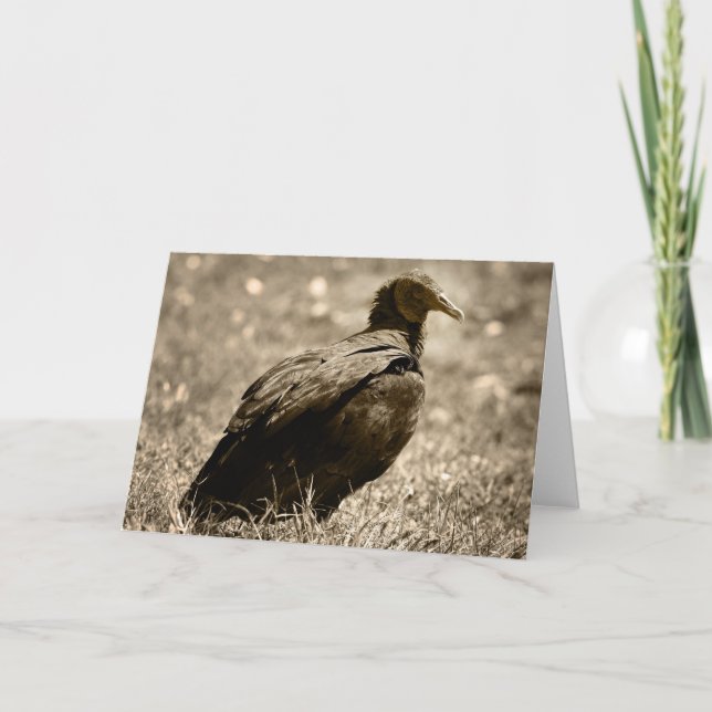 Vulture Customizeable Card (Front)