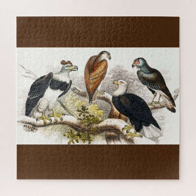 vulture  jigsaw puzzle (Vertical)