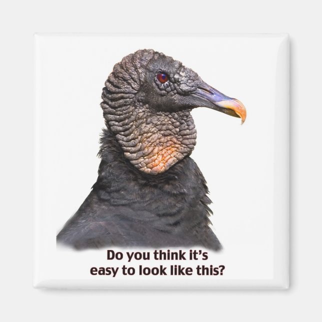 Vulture Magnet (Front)