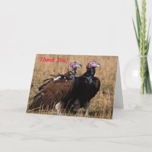 Vulture Pair You Thank Card