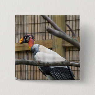 Vulture Photography 2 Inch Square Button