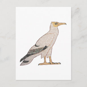 Vulture Postcard
