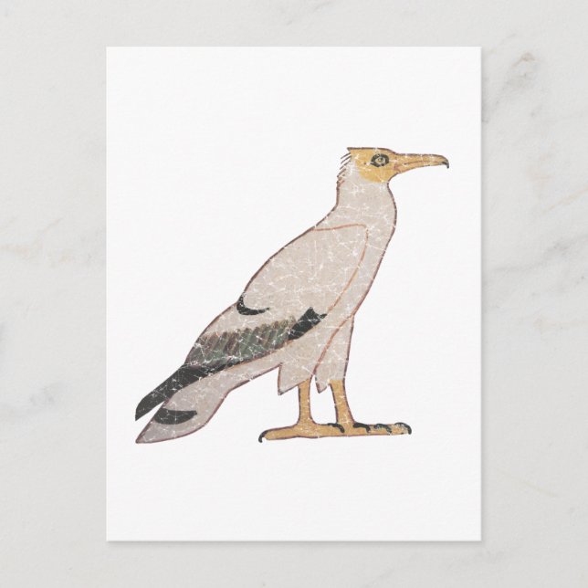 Vulture Postcard (Front)