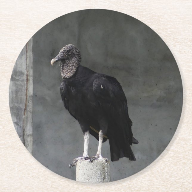 Vulture Pulp Board Coasters (Front)