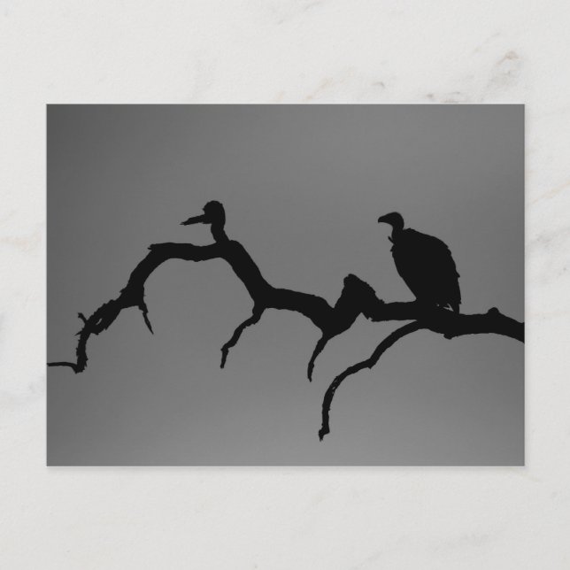 Vulture Silhouette Postcard (Front)