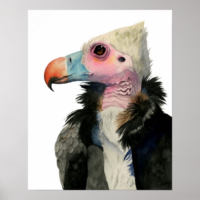 Vulture Watercolor Painting Poster (Front)
