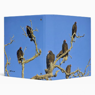 Vultures Binder