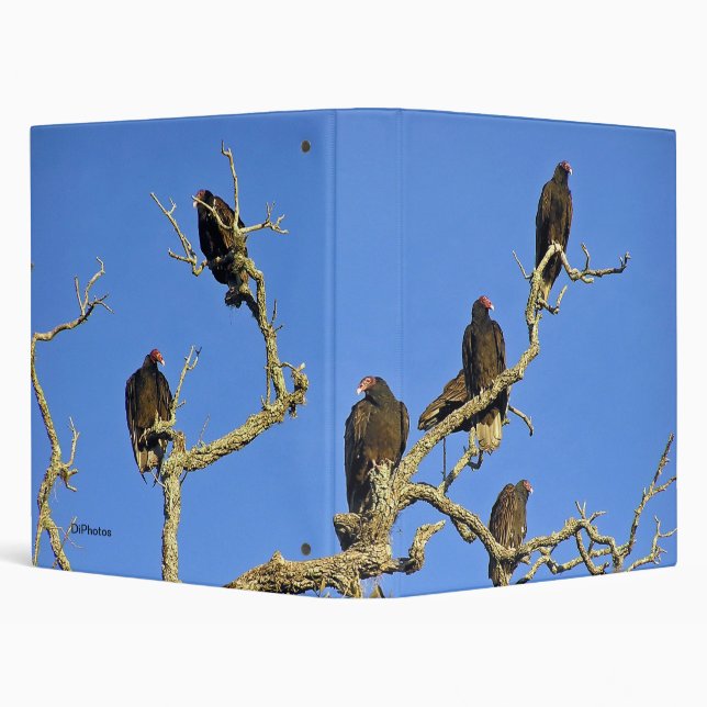 Vultures Binder (Background)