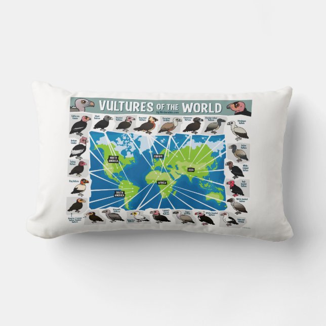 Vultures of the World Map Lumbar Pillow (Front)
