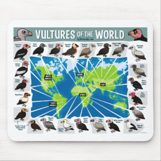 Vultures of the World Map Mouse Pad