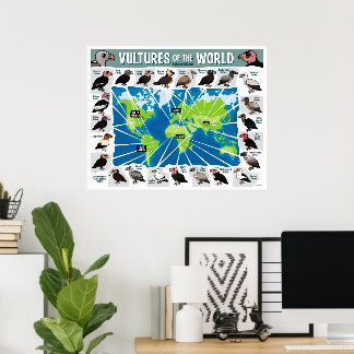 Vultures of the World Map Poster