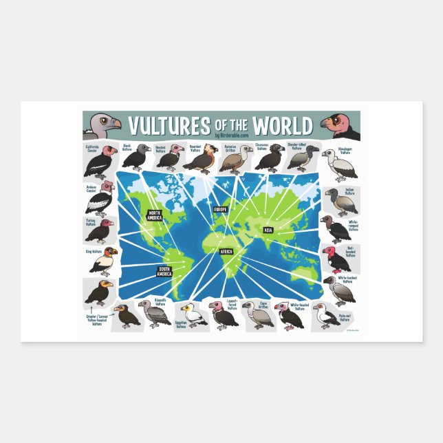 Vultures of the World Map Sticker (Front)