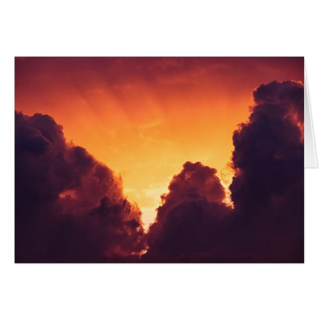 w in weather (Front Horizontal)