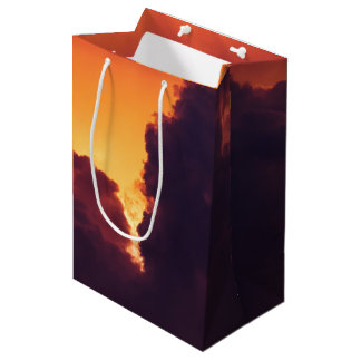 w in weather medium gift bag