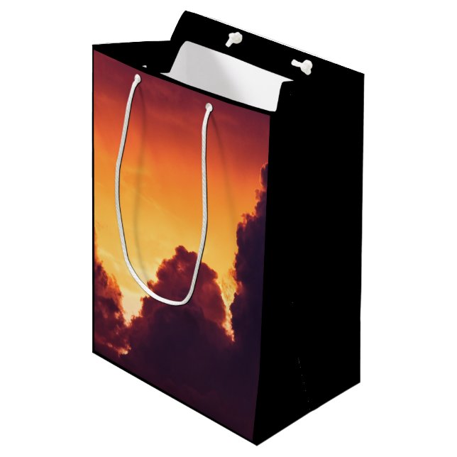 w in weather medium gift bag (Front Angled)