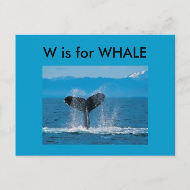 "W" is for Whale Alphabet Flashcard Postcard (Front)
