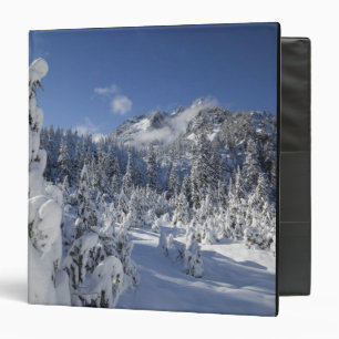 WA, Alpine Lakes Wilderness, Snow Lake basin Binder