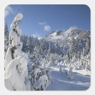 WA, Alpine Lakes Wilderness, Snow Lake basin Square Sticker