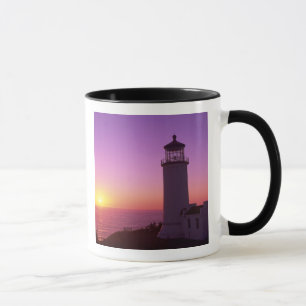 WA, Cape Disappointment State Park, North Head 2 Mug