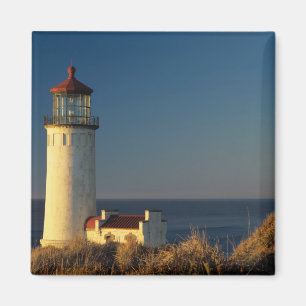 WA, Cape Disappointment State Park, North Head Magnet