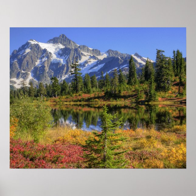 WA, Heather Meadows Recreation Area, Mt. 2 Poster (Front)
