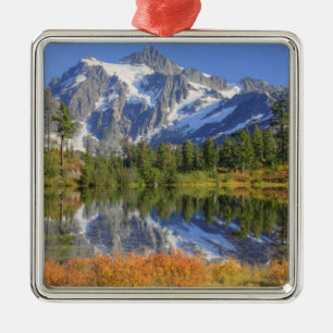 WA, Heather Meadows Recreation Area, Mt. Metal Ornament