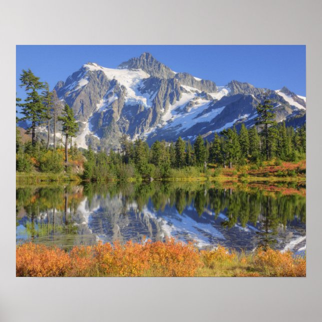 WA, Heather Meadows Recreation Area, Mt. Poster (Front)