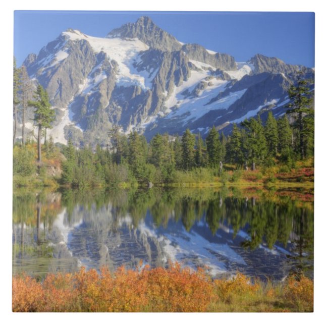 WA, Heather Meadows Recreation Area, Mt. Tile (Front)