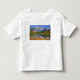 WA, Heather Meadows Recreation Area, Mt. Toddler T-shirt