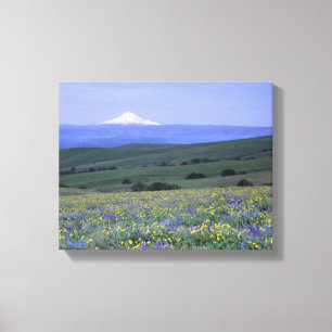 WA, Klickitat County, Dalles Mountain Ranch, Canvas Print