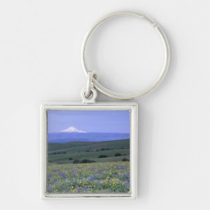 WA, Klickitat County, Dalles Mountain Ranch, Keychain