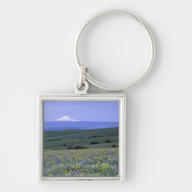 WA, Klickitat County, Dalles Mountain Ranch, Keychain (Front)