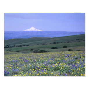 WA, Klickitat County, Dalles Mountain Ranch, Photo Print