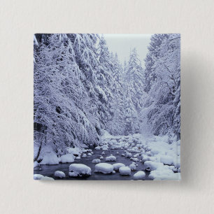 WA, Mount Baker-Snoqualmie National Forest, 2 Inch Square Button