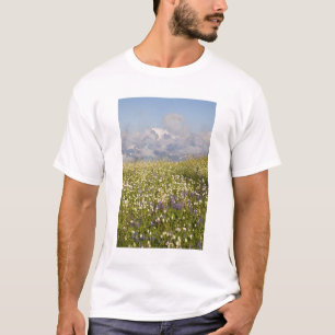 WA, Mt. Baker Wilderness, Mt. Shuksan and T-Shirt