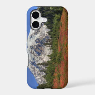 WA, Mt. Rainier National Park, Paradise Valley