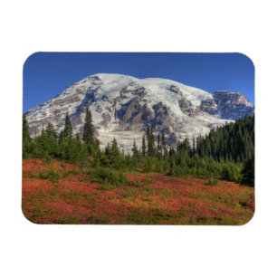 WA, Mt. Rainier National Park, Paradise Valley Magnet