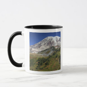 WA, Mt. Rainier National Park, view from the Mug
