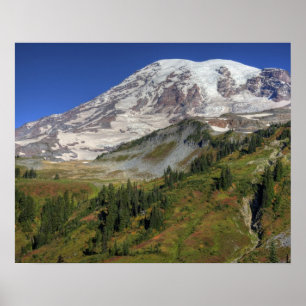WA, Mt. Rainier National Park, view from the Poster