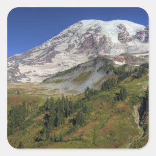 WA, Mt. Rainier National Park, view from the Square Sticker