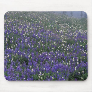 WA, Mt. Rainier NP, Lupine and Bistort meadow Mouse Pad