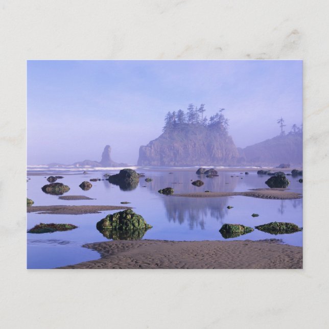 WA, Olympic National Park, Second Beach, Postcard (Front)