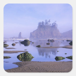 WA, Olympic National Park, Second Beach, Square Sticker